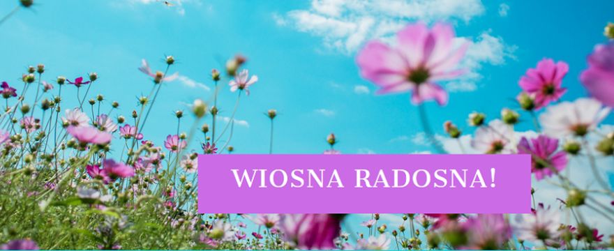 Redakcja POLECA: Co przeczytać? Co zobaczyć? Nowości dla rodziny i domu