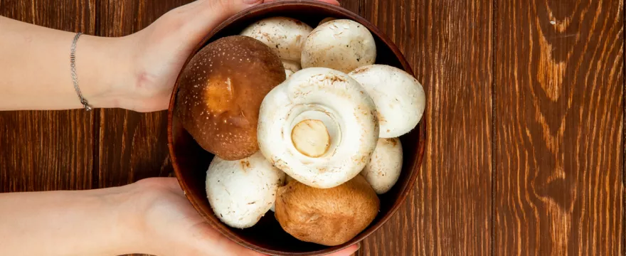 Pieczarki dla dziecka – kiedy, jak i dlaczego warto je wprowadzić?