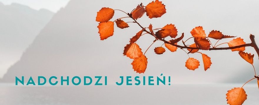 Redakcja poleca: rodzinne must have na pierwsze dni jesieni!