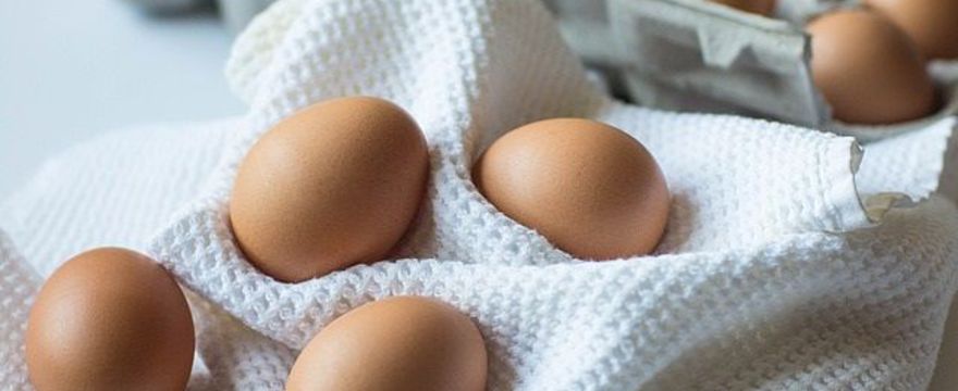 Jajka w diecie dziecka