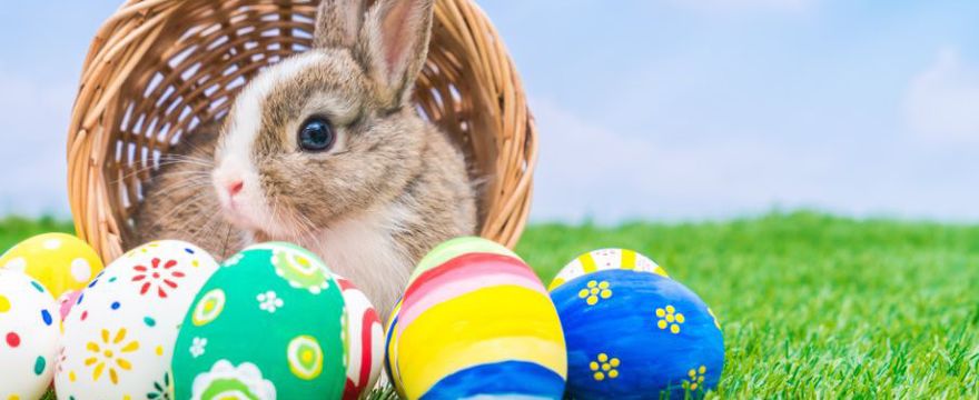 Przepisy na Wielkanoc - TOP 7 PYSZNYCH POTRAW!