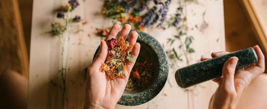 Zioła w ciąży i dla dzieci – które są bezpieczne, a których unikać?