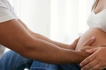 article icon